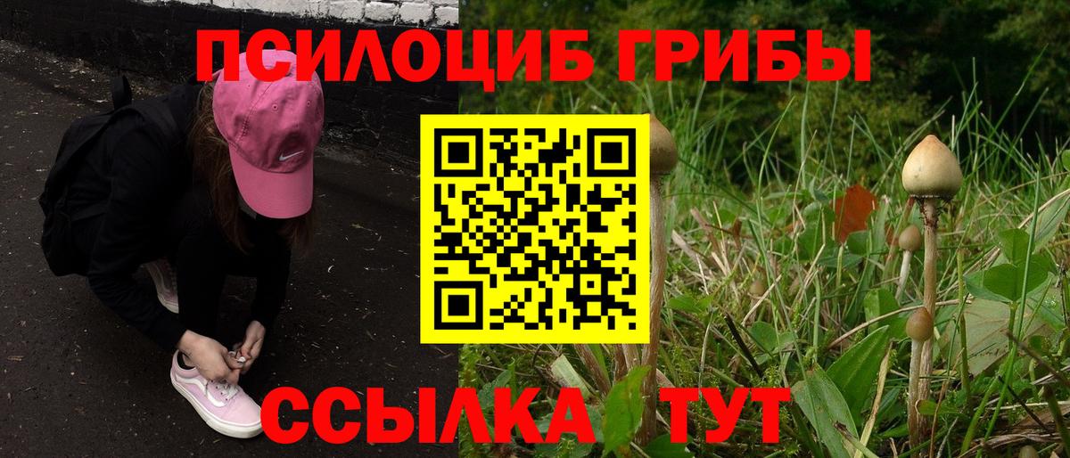 купить наркотик  Вход с VPN  Бузулук  Галлюциногенные грибы мухоморы 